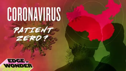 Coronavirus Identity of Patient Zero