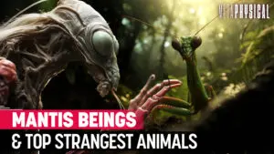 Praying Mantis Beings & Top Strangest Animals