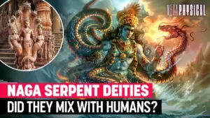 Naga Serpent Deities: Did They Mix With Humans?
