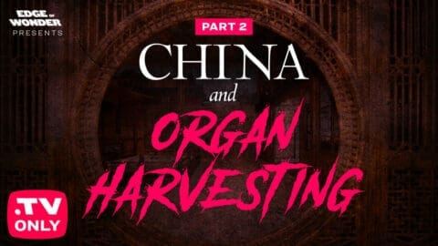 China and Organ Harvesting