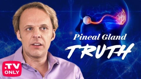 David Wilcock [Part 3] Project Looking Glass & The Pineal Gland