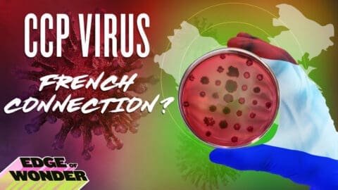 CCP Coronavirus: A New Emerging Virus & The French Connection [Part 8]