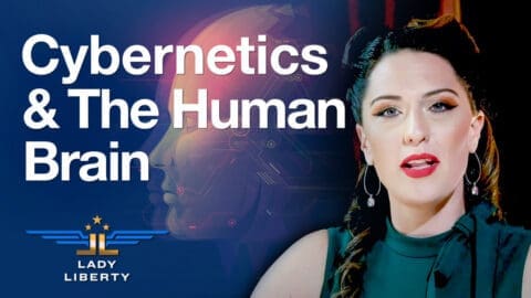 Cybernetics & The Human Brain [Episode 3]