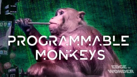 Transhumanism: Programmable Monkeys [Ep. 4]