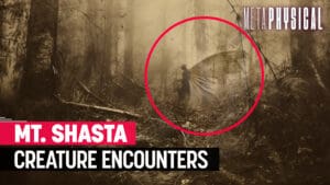 Bigfoot, Batsquatch & Creatures on Mt. Shasta: Remnants from Lemuria? [Part 2]
