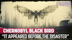 Mysterious Black Bird of Chernobyl & Other Radioactive Cryptids Lurk at Nuclear Sites [Part 1]