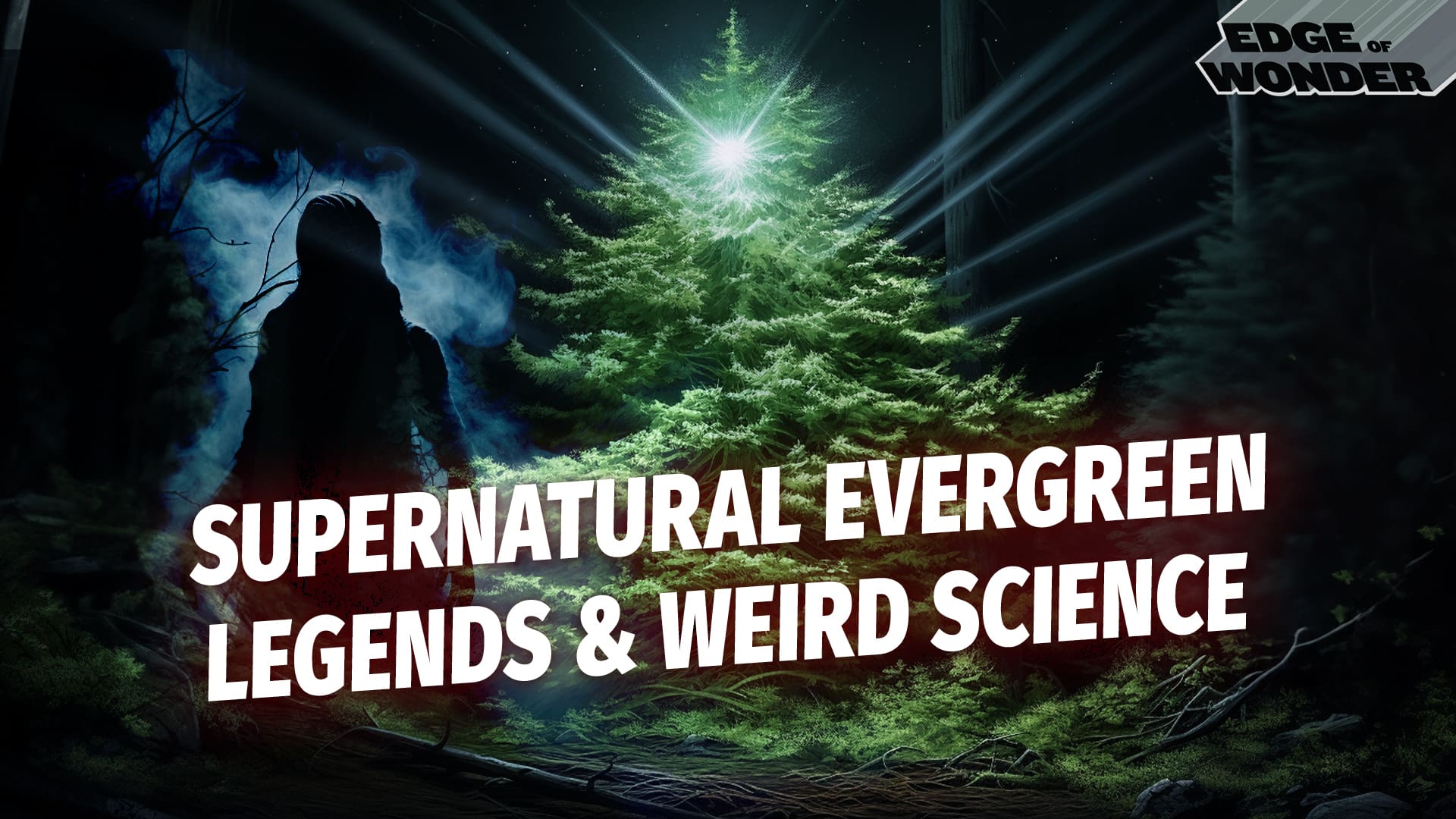 Do Christmas Trees Have Healing Powers? Supernatural Evergreen Legends