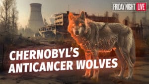 Chernobyl’s Anticancer Wolves, Death Defying Incidents & Rare Minerals