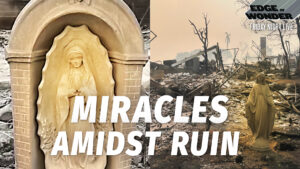 LA Fire Updates: Miracles Amidst the Devastation [Live -7:30 p.m. ET]