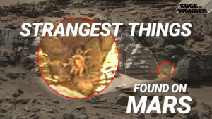 Strangest Things Found on Mars as NASA Confirms Life on Red Planet [Live - 7:30 p.m. ET]