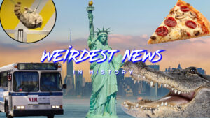 New York Man Headlines That'll Have You Yelling 