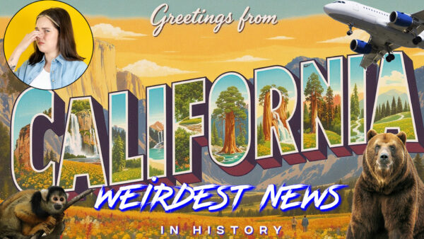 California Man Headlines That Will Shake You Like an Earthquake! [Live ...